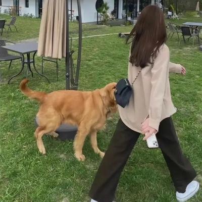 江山美人